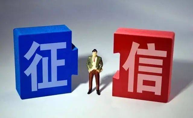 好当家最新动态深度探讨与观点阐述