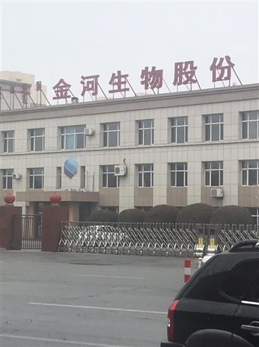 金河生物最新动态，友情与陪伴的温馨日常
