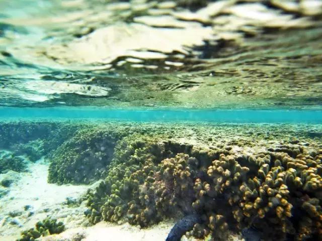 探索自然美景的魔法网址之旅，追寻内心平静的旅程（最新网址版）