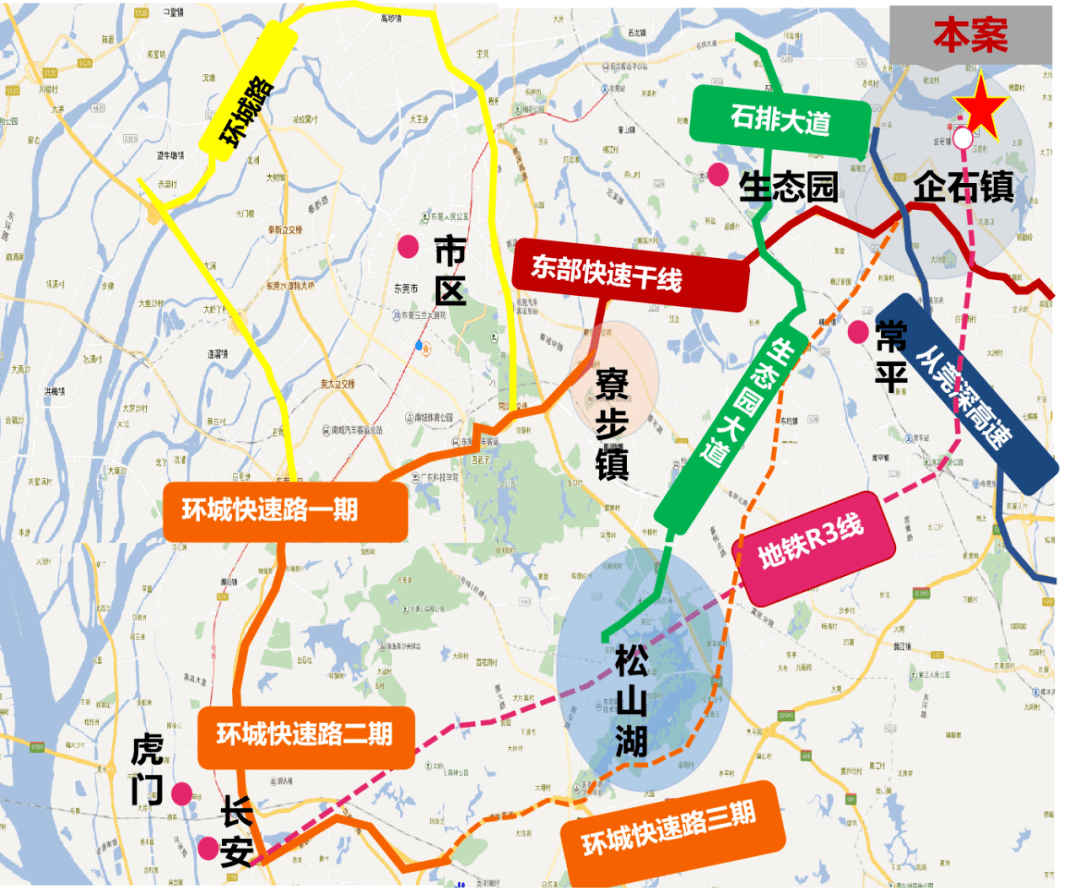 周口大豆价格最新行情深度解析