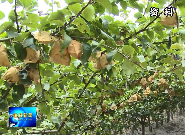 张村最新手工活外发，轻松探索自然美景之旅