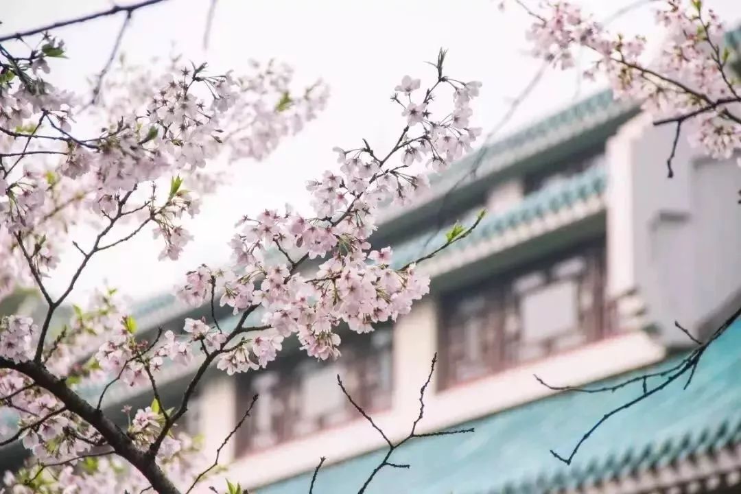 ADN最新发现，小巷深处的独特风味