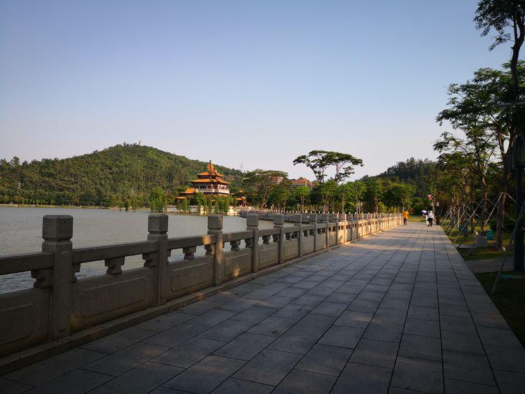 大良最新招聘，探索自然美景，寻找内心平静之旅