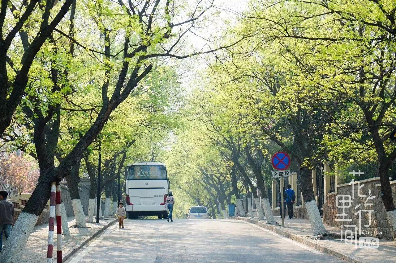 海虹控股，自然美景之旅，探寻内心宁静与平和的征途