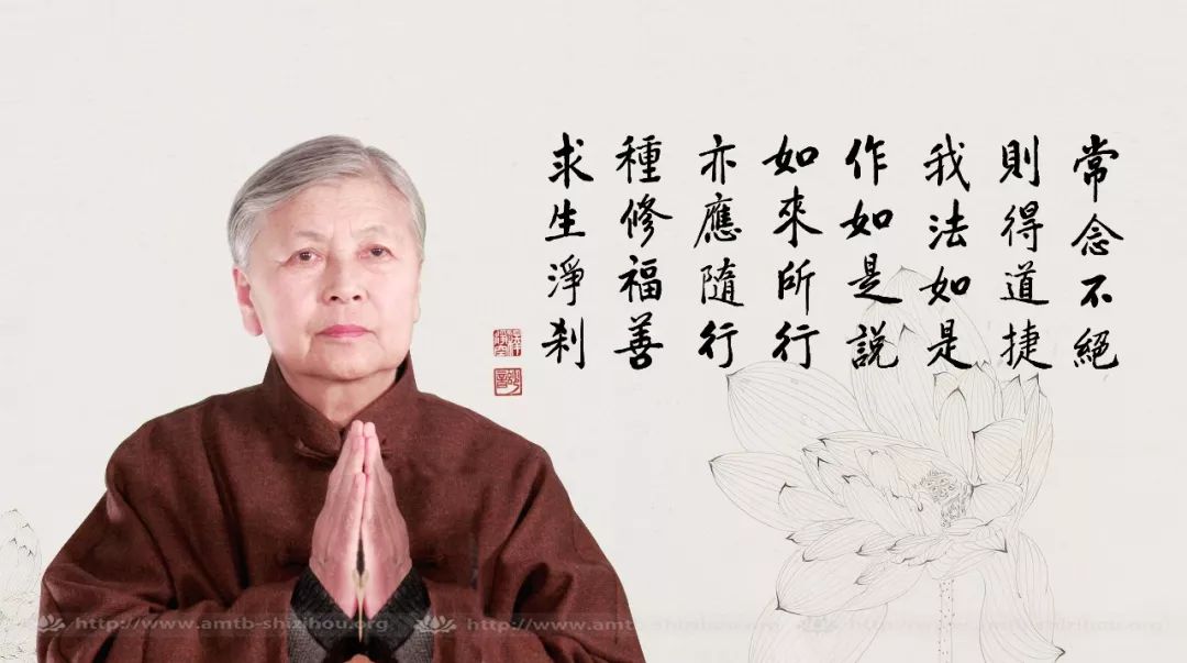 刘素云老师最新开示，小巷中的隐藏特色小店带给我们惊喜的发现