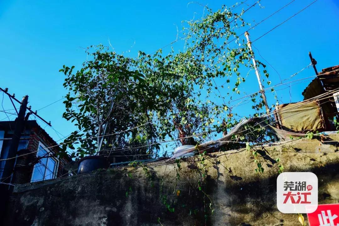芜湖人才网最新招聘信息汇总