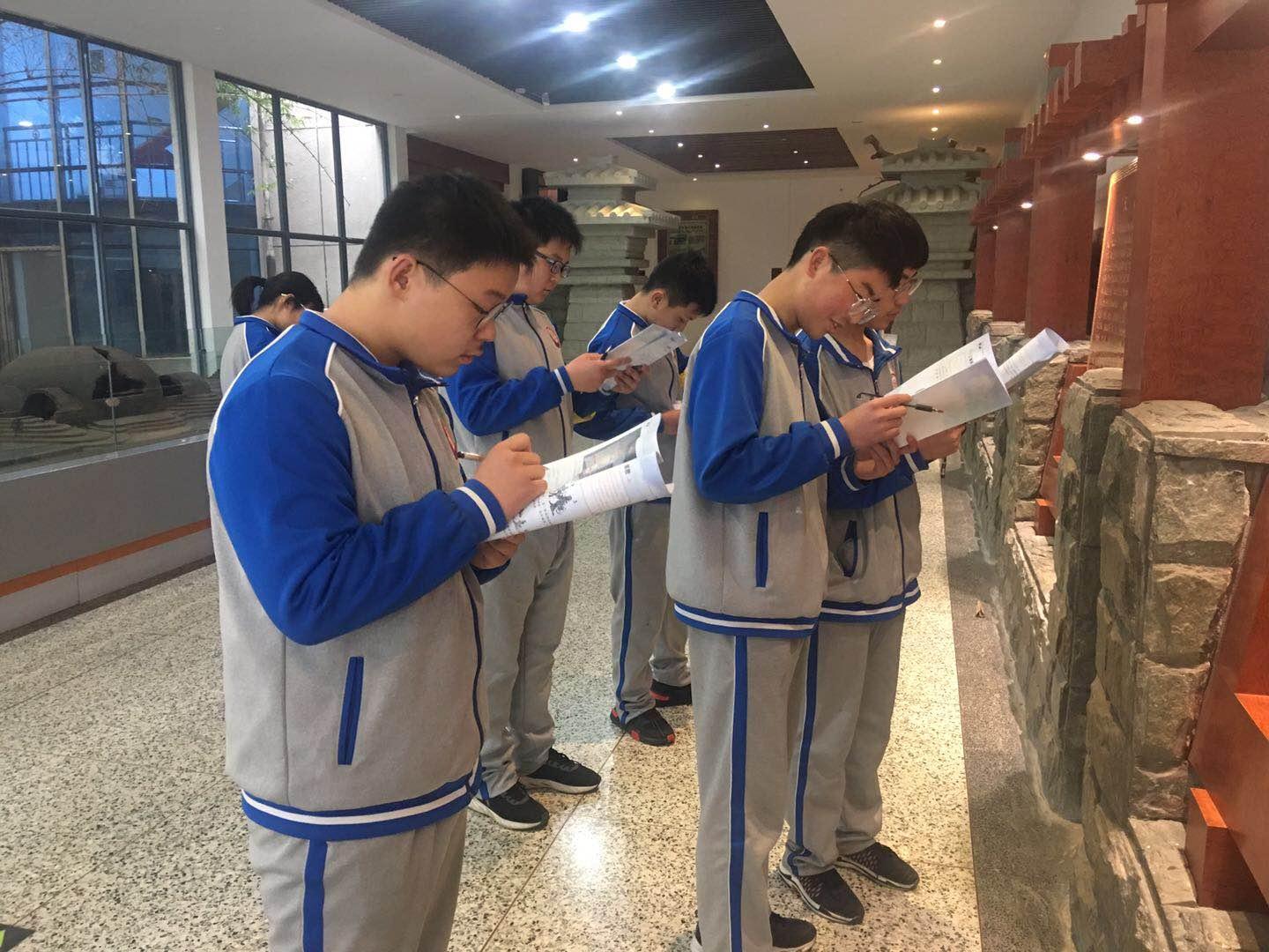 最新交税标准解读，一场奇妙的税收之旅