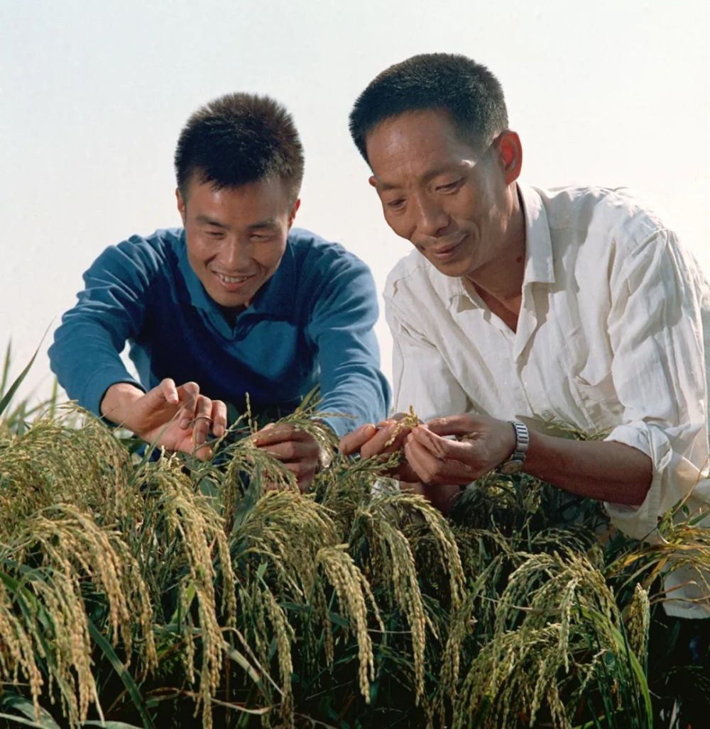松原帮科技巅峰之作引领未来生活新潮，最新消息一览
