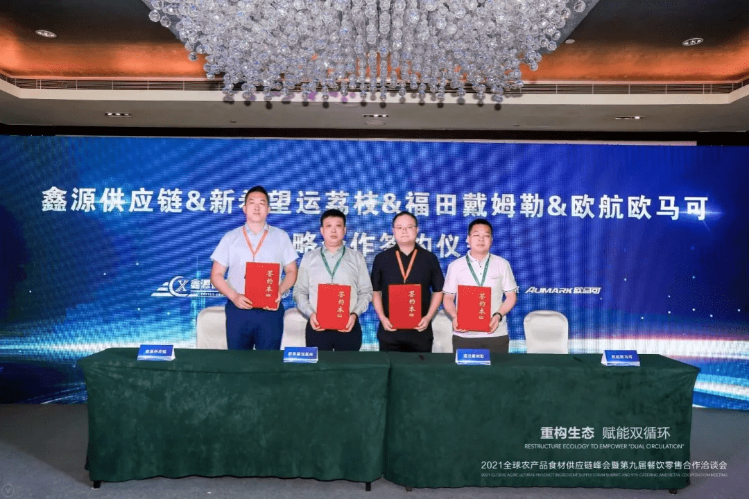 磁材最新动态，引领科技潮流，重塑未来生活体验新篇章