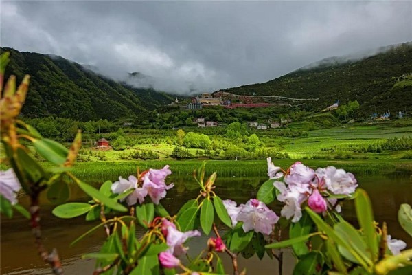 艳艳乡村，自然美景的邂逅与内心平和之旅最新章节