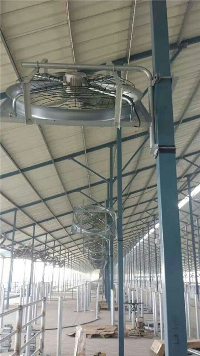 最新型牛舍,最新型牛舍，小巷中的隐秘瑰宝，一场独特的探索之旅