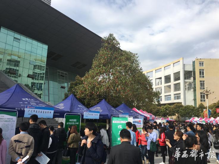 苍溪最新招聘信息发布
