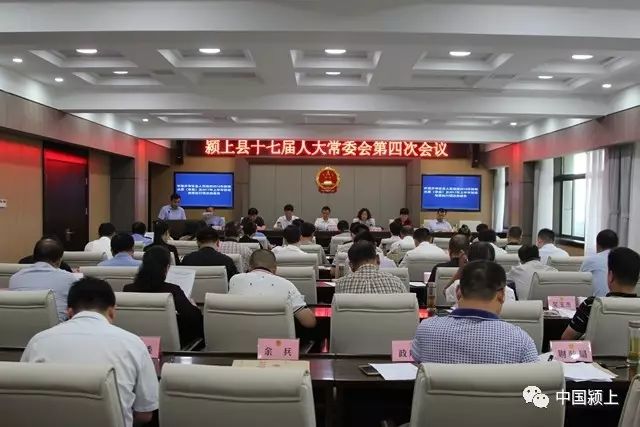 颍上地方动态与时事热点解读，最新新闻报道聚焦