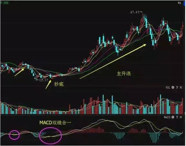股神林园最新持股策略详解，如何跟踪与学习其投资策略？