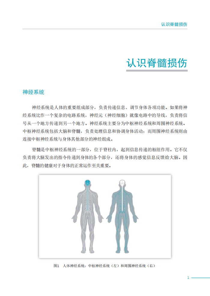 2023脊髓损伤最新突破,2023脊髓损伤最新突破——重塑生活的科技奇迹