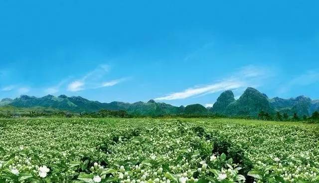 下花园最新新闻，自然美景探索之旅，寻找内心的平和与宁静