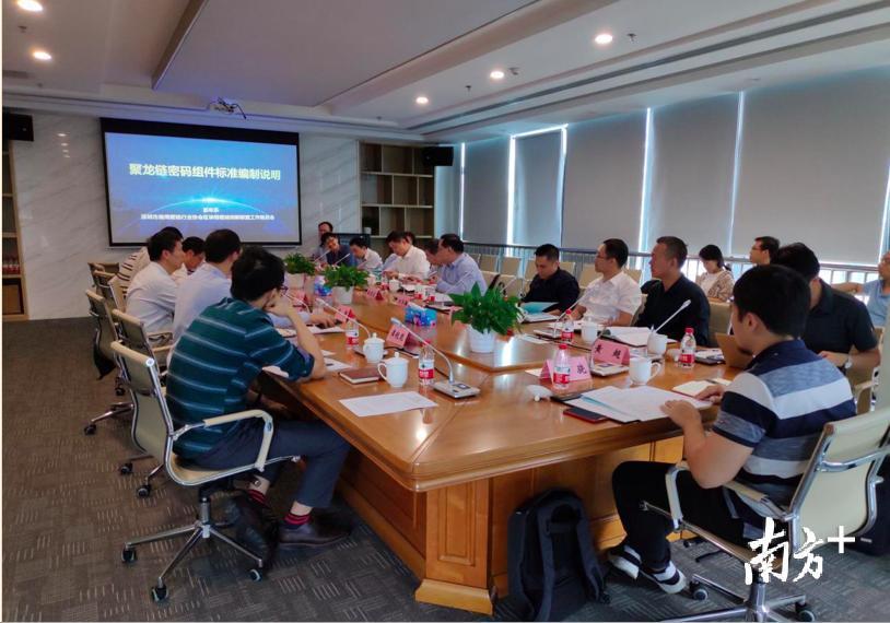 迅雷VIP账号密码最新获取攻略，适用于初学者与进阶用户