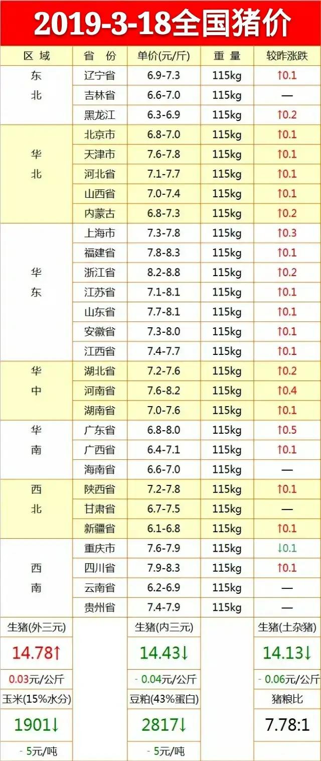 仔猪市场最新动态，今日猪价更新，友情与爱的温馨日常趣事分享