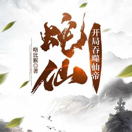 公司介绍 第28页