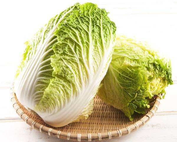 大白菜最新版，科技与生活完美融合的高科技产品详解