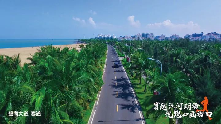 海口头条新闻，探索自然美景之旅，追寻内心的平和与宁静