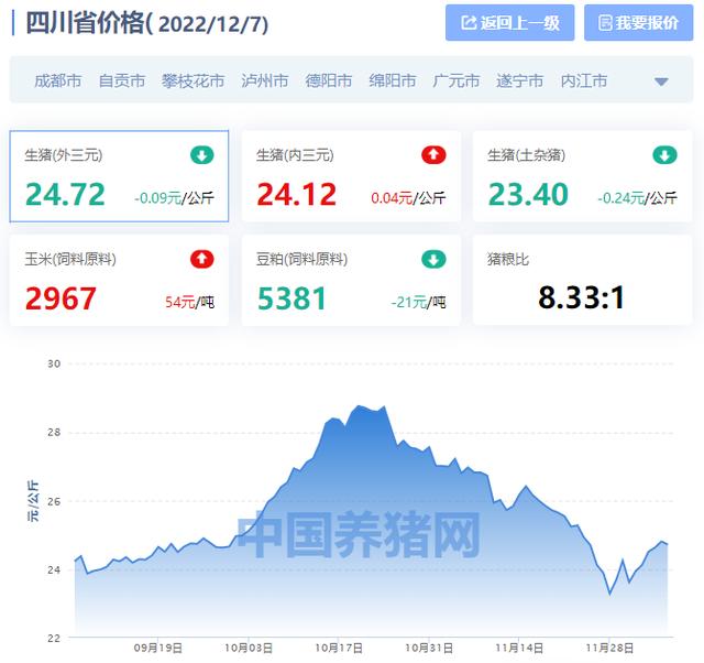 四川小猪最新价格动态，变化中的价值与学习的自信与成就感