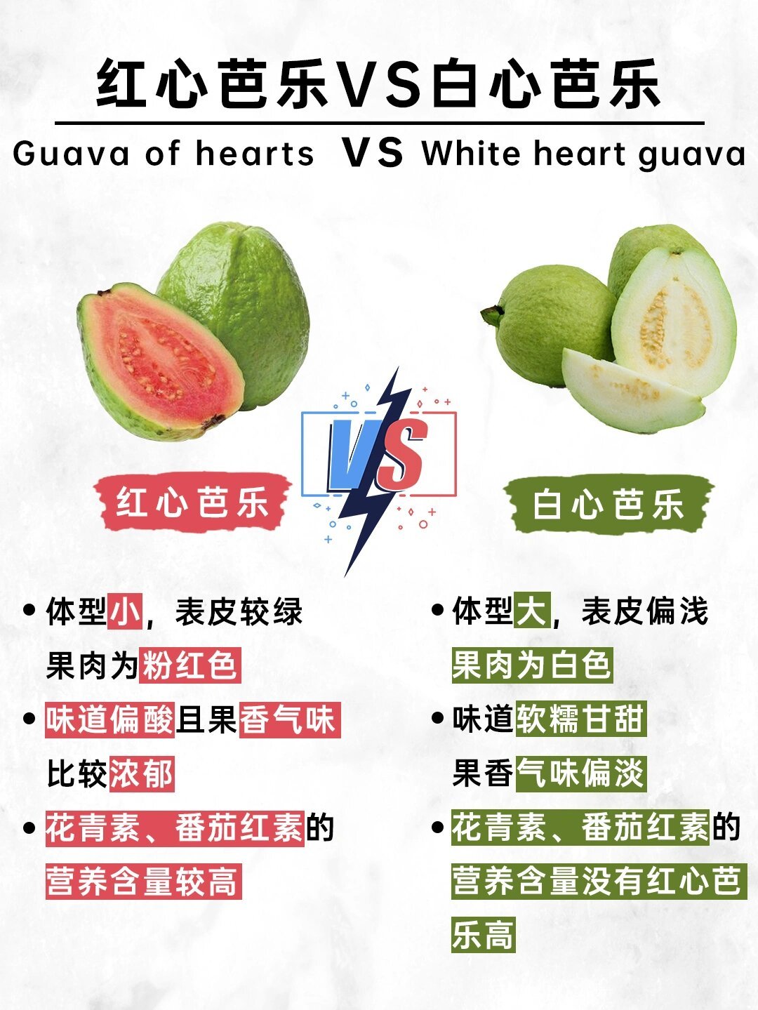 最新巴乐制作指南，从初学者到进阶用户的步骤指南
