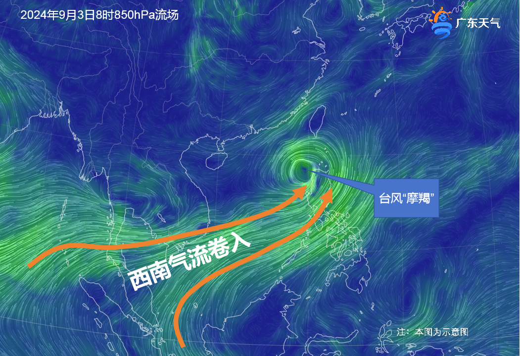 泉州最新台风动态，多方观点分析与个人立场表达