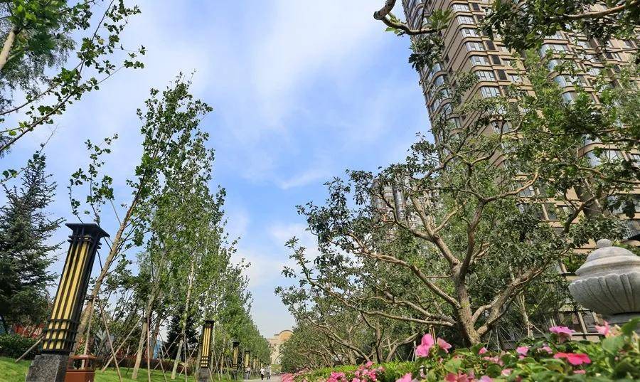 迁安楼市最新价格动态，城市变迁与学生成长同步观察报告