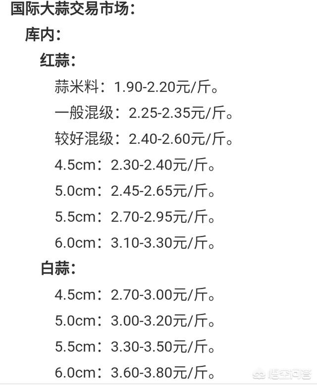 大蒜最新价格动态，国际大蒜网市场洞察报告