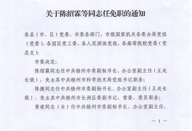 梧州人事任免公示，小巷中的独特风味探索